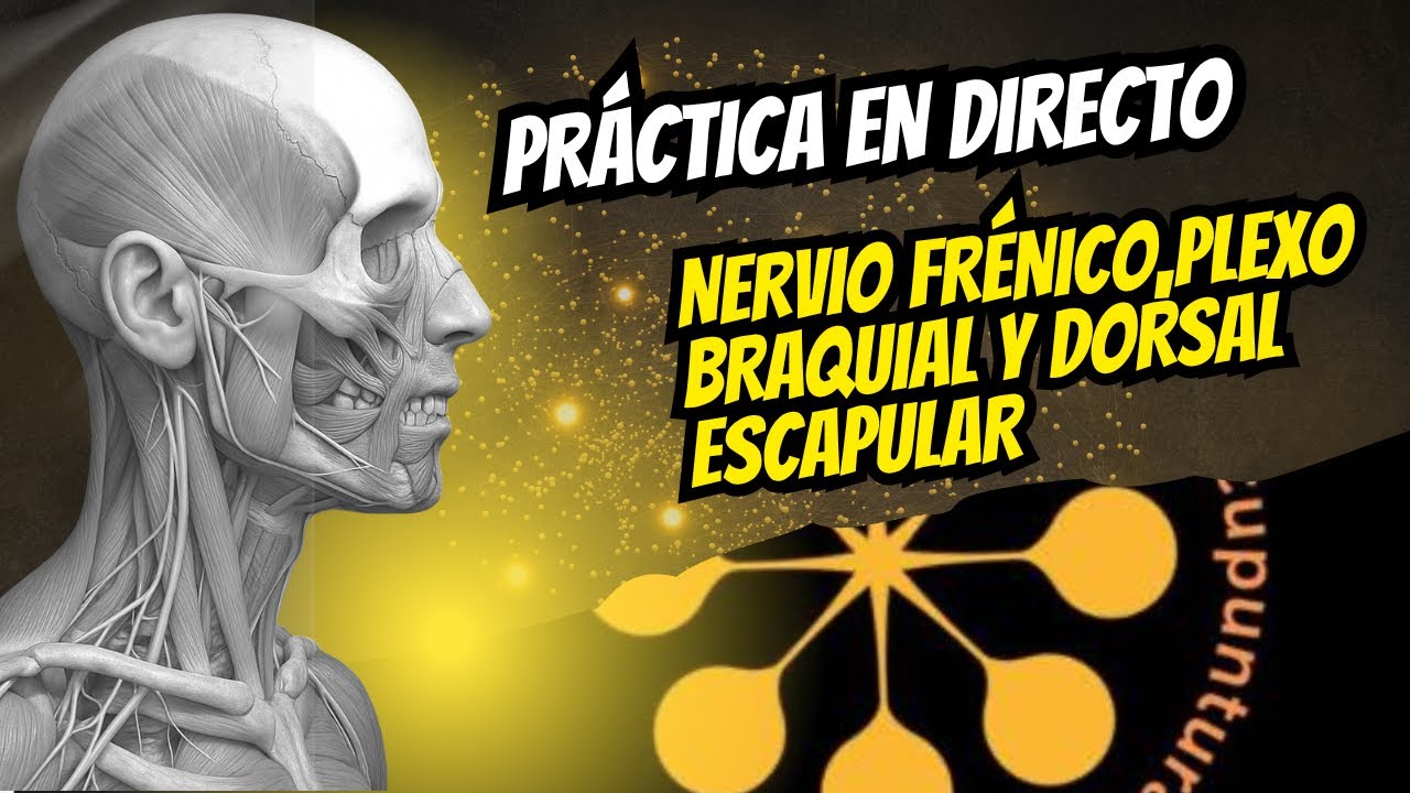 EN DIRECTO! Nervio frénico - Tratamiento transcutáneo cuello