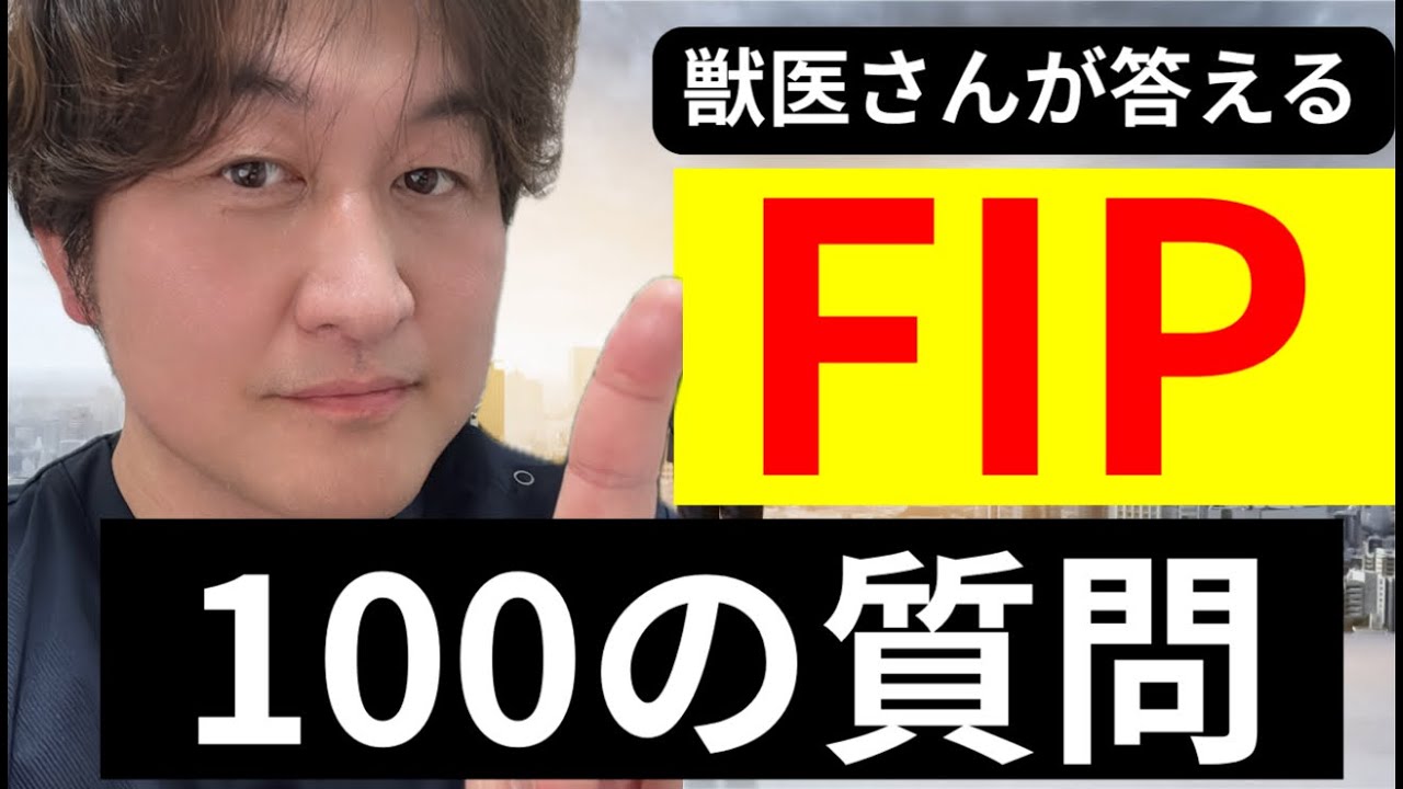 新年【FIP】 100の質問【基本編】＠猫伝染性腹膜炎（FIP）治療の実際 2025年1本目