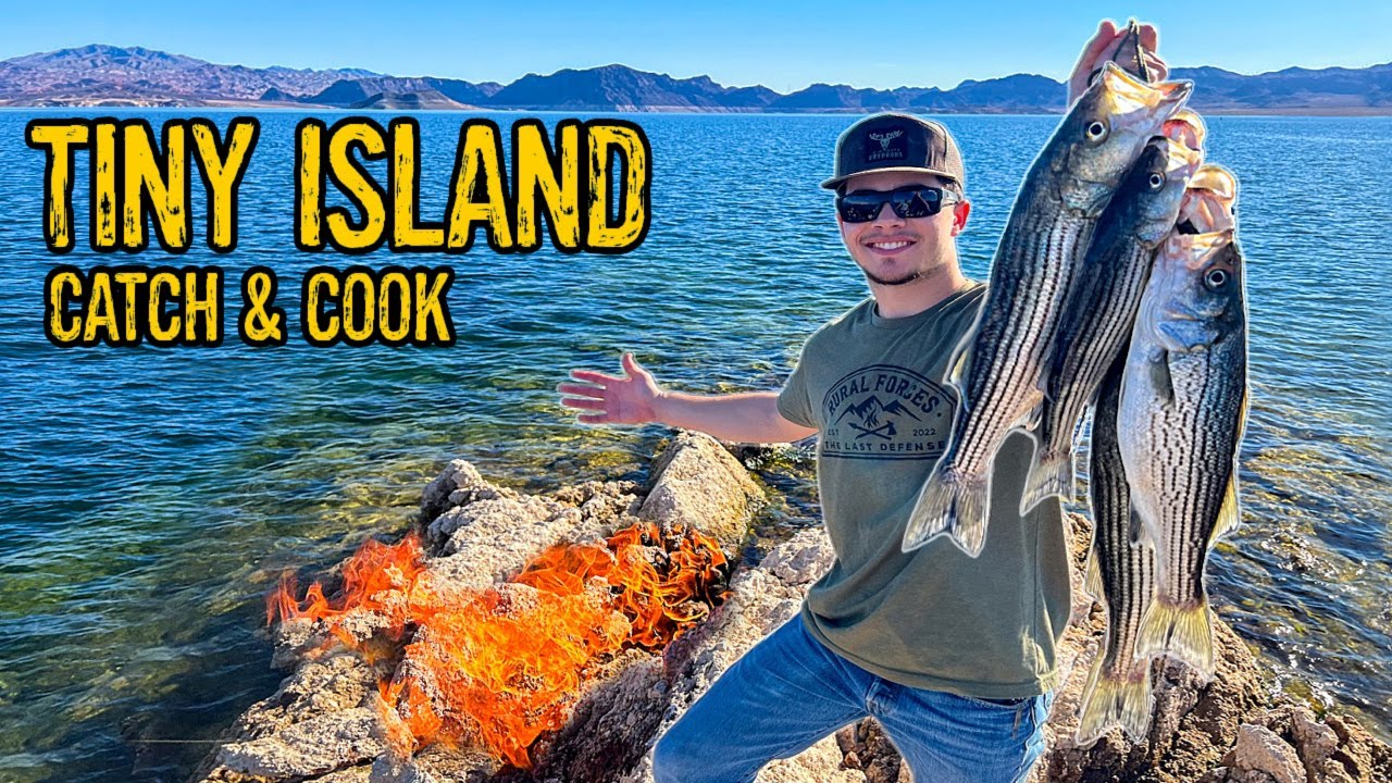 I Found a Newly Exposed Island Exploring Lake Mead