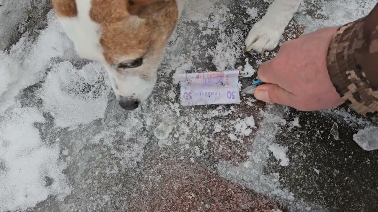 Нам подкинули деньги 💰