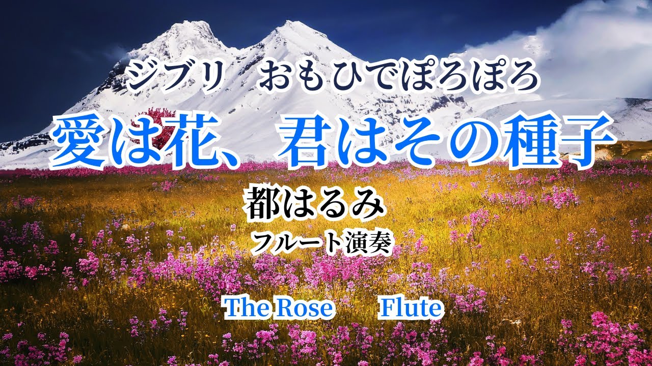 愛は花、君はその種子　都はるみ　ジブリ　おもひでぽろぽろ　The Rose