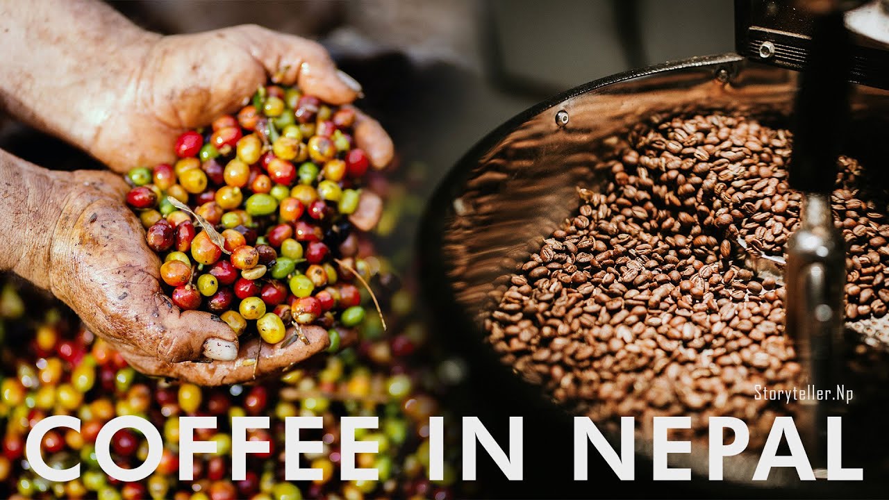 Coffee farming in Nepal. (Fall and Rise of a plantation (Documentary)