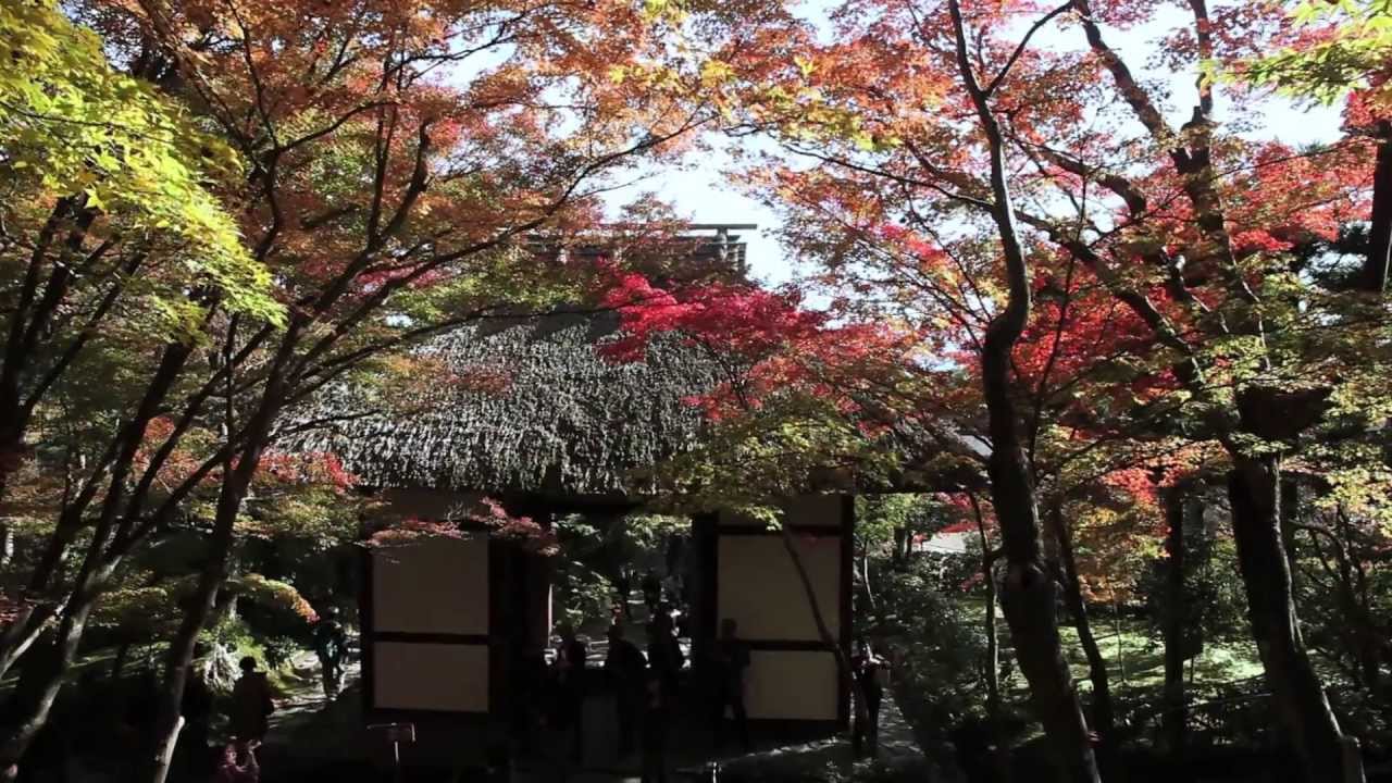 JAPAN  - Beautiful Four Seasons - 【美しい日本の四季】