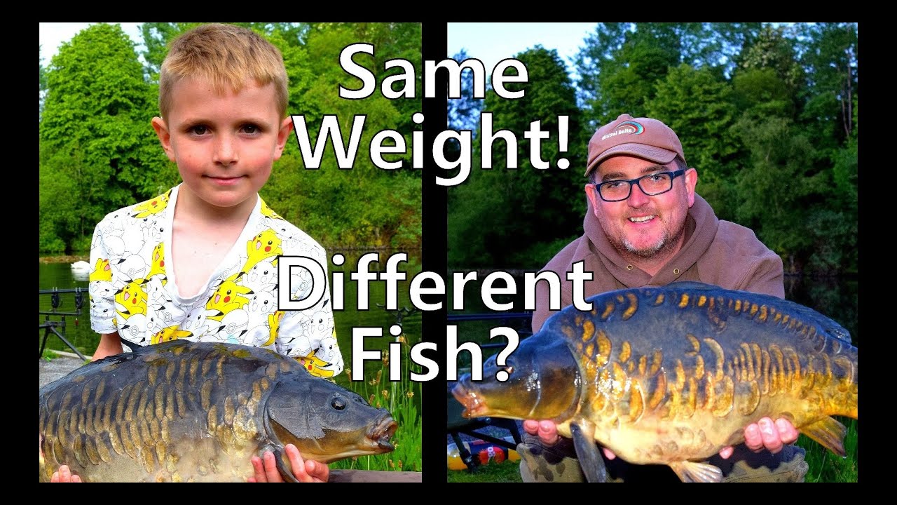 Catching Carp , same weight - Carp Fishing Blog. Video 201