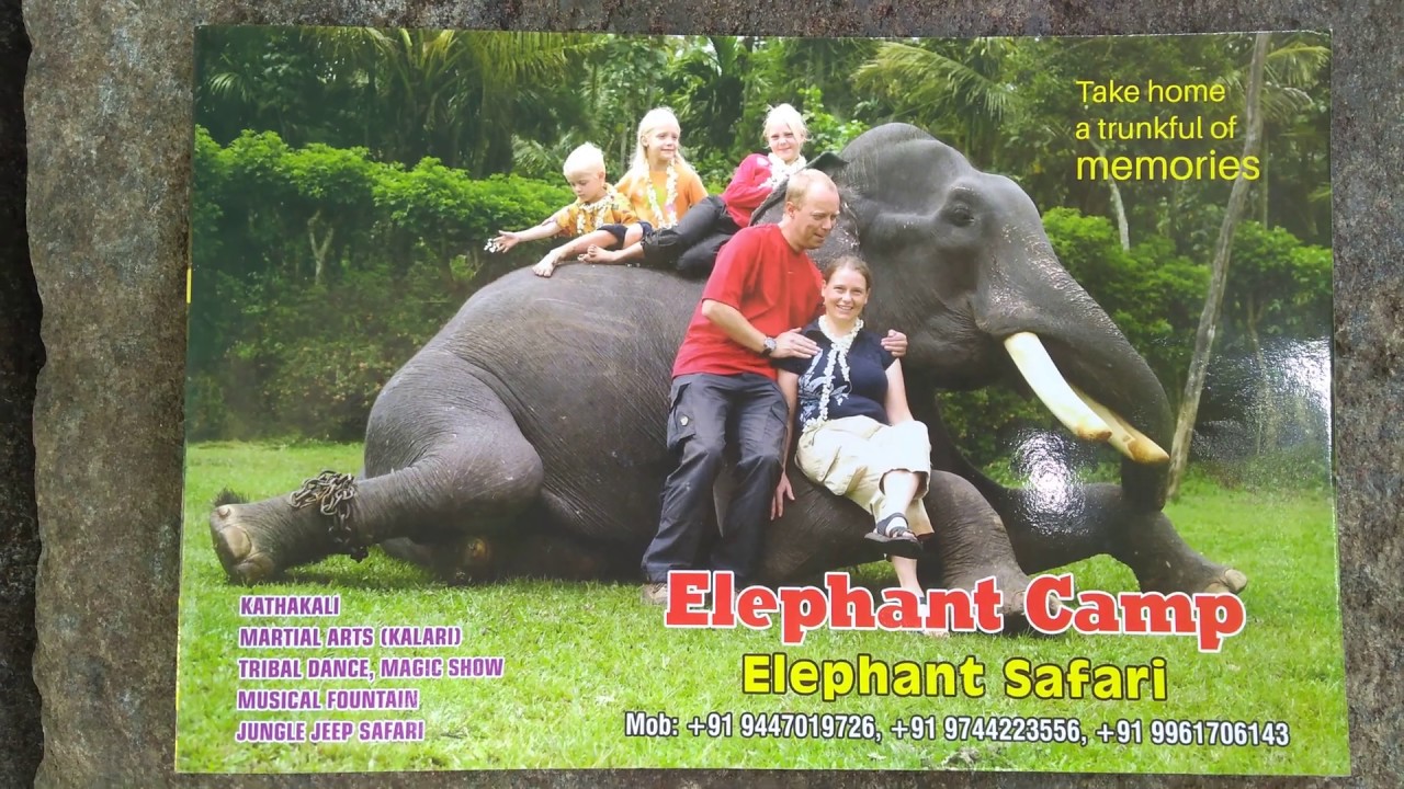 Timing & Price of different activities at Elephant Camp, Thekkady, Kerala - Akilesh Arun Kumar B