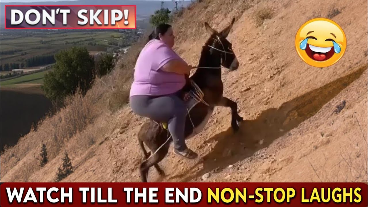 Bushman just simple funny prank video 📷 Hilarious Cute Moments 😁 Must Watch & Smile 😊 #laugh 
