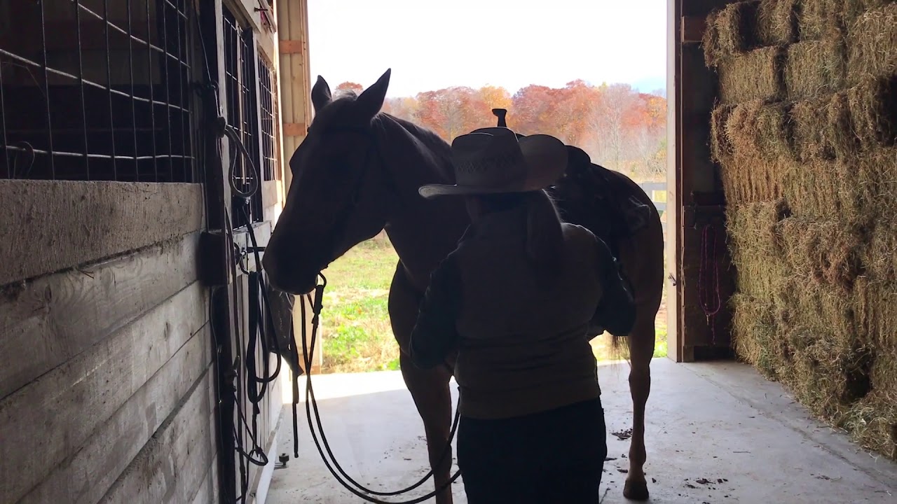 Ranch Wrangler Application Video
