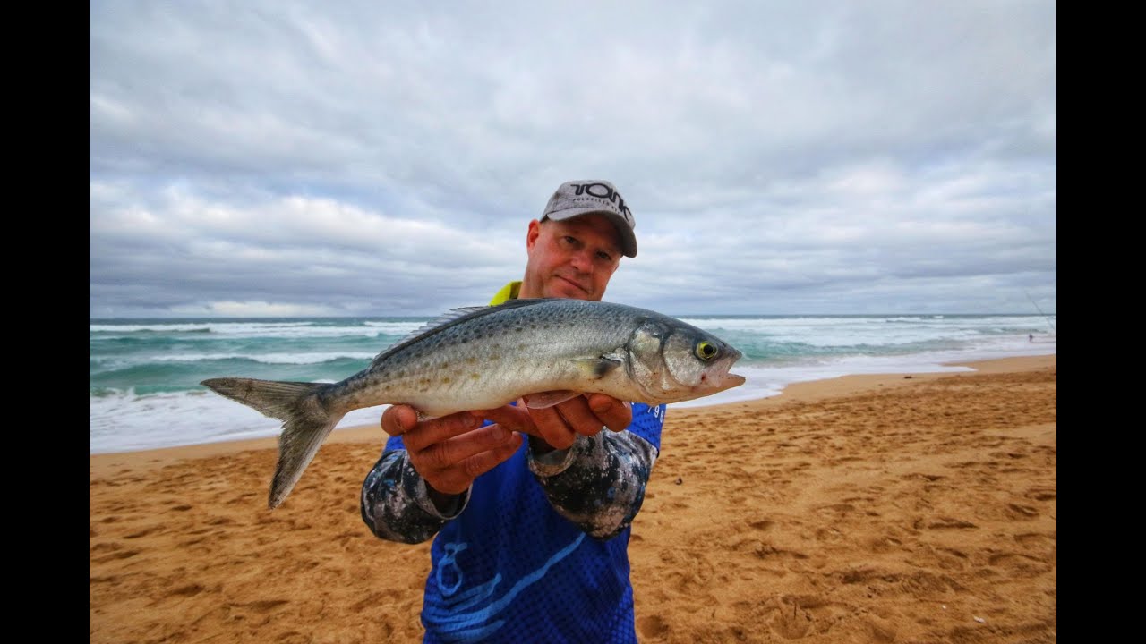 Surf fishing Gunnamatta for Australian Salmon