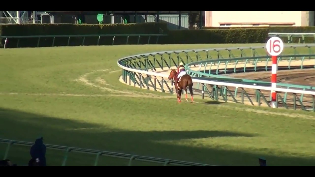 2018/03/04（日）弥生賞(GII) ヘヴィータンクの走行状況