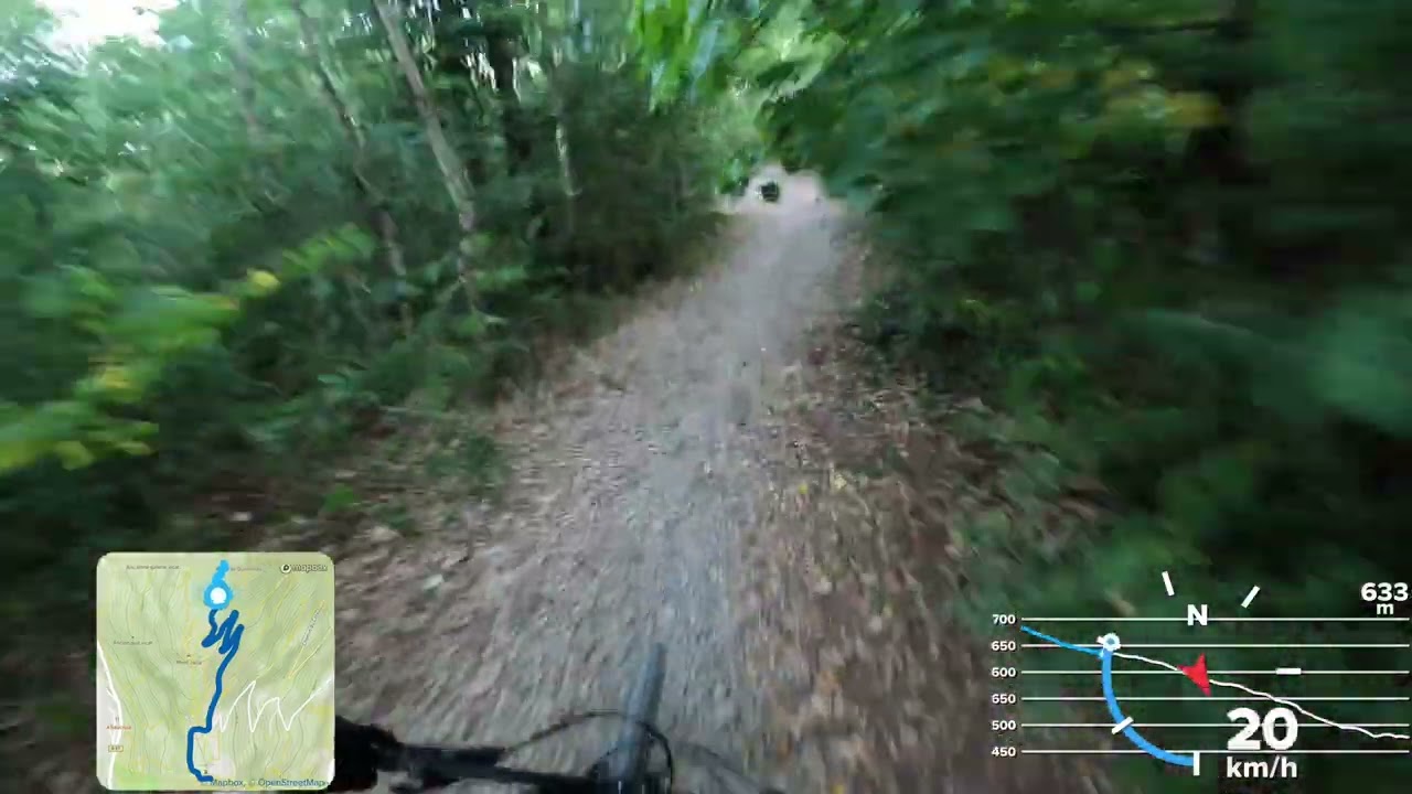 VTT - Mont Rachais - Grenoble - 28062025