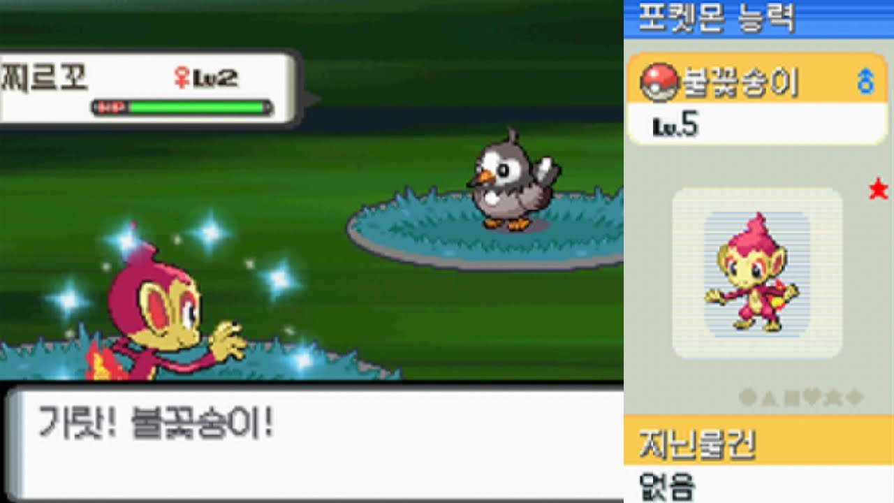LIVE! Shiny Chimchar on Korean Diamond after 5,758 SRs!! (+ 1 Uncatchable Starly in Pearl