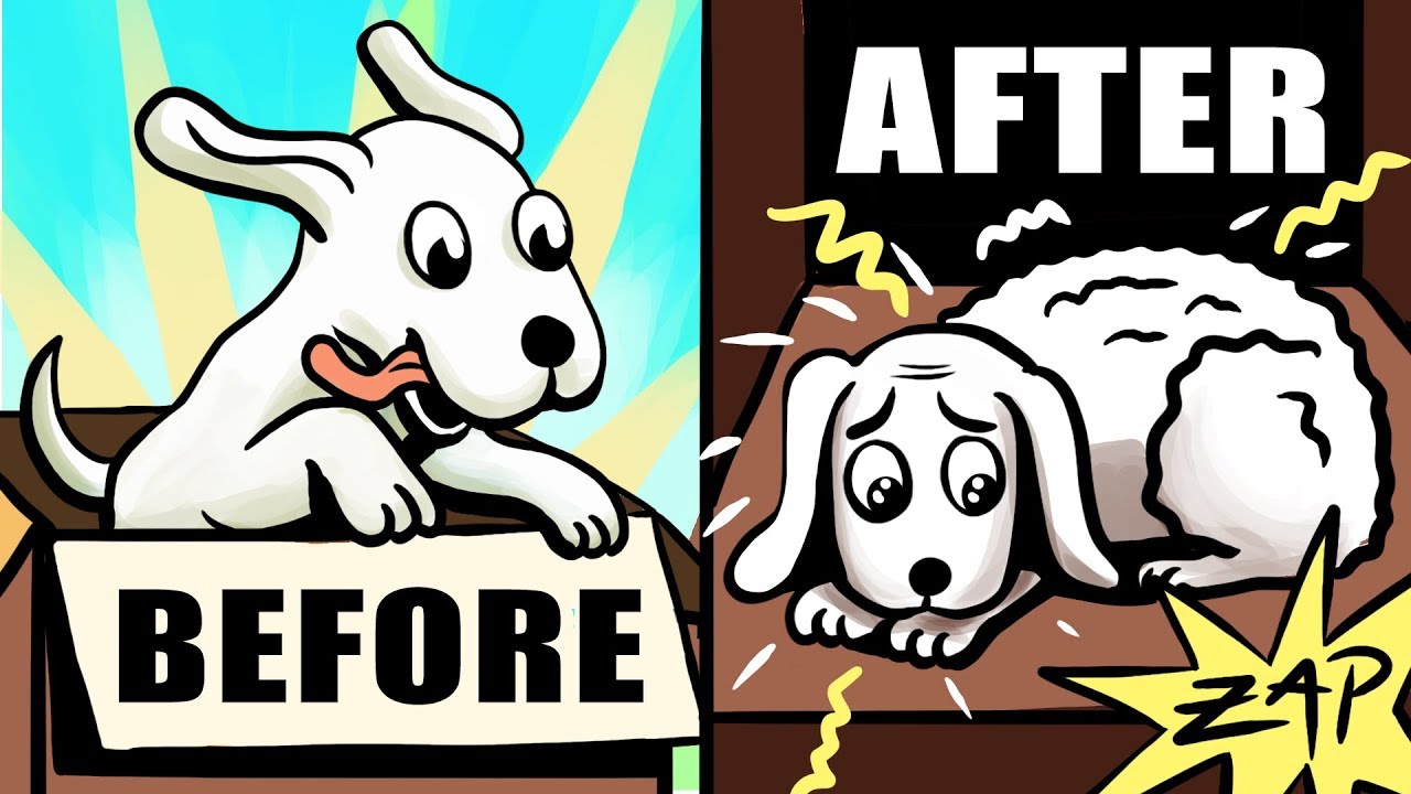 Learned Optimism by Martin Seligman - Animated Book Review