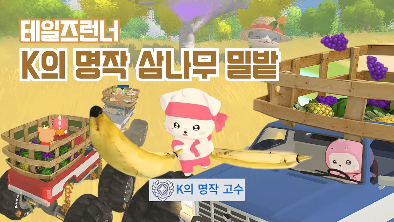 테일즈런너 삼나무 밀밭 전투 장면 모음 | 아틀리에 K의 명작 고수 TalesRunner