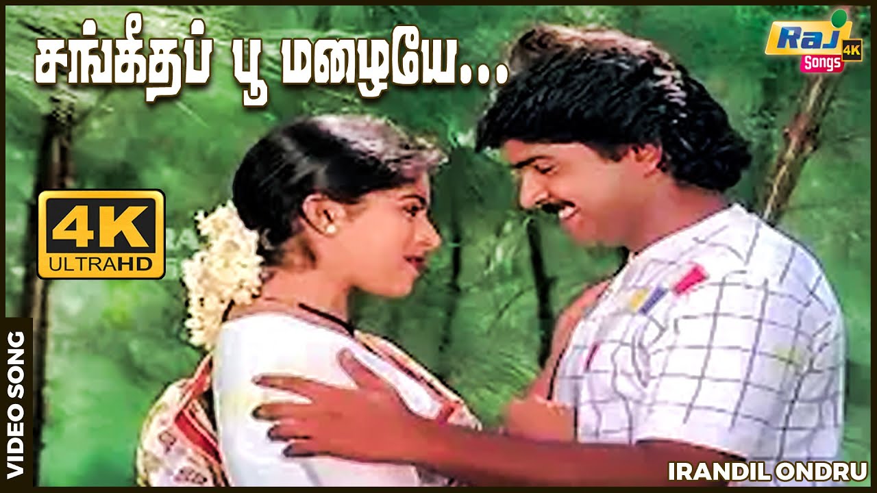 சங்கீதப் பூ மழையே என் சந்தேகம் தீரலியே...| Ramki | Nadhiya | Raj 4K Songs