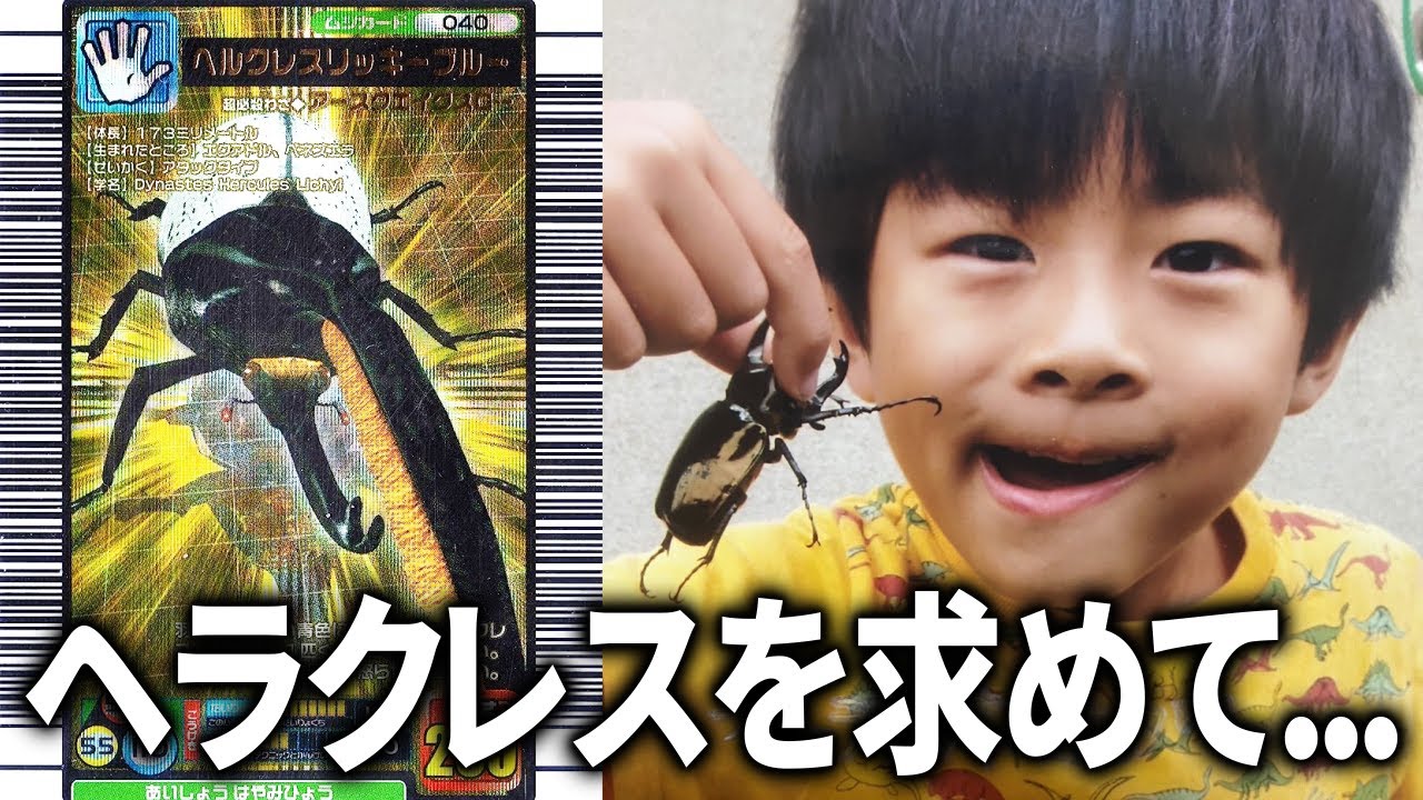 【実写】ガキの頃の青春を取り戻しに行く22歳【甲虫王者ムシキング】