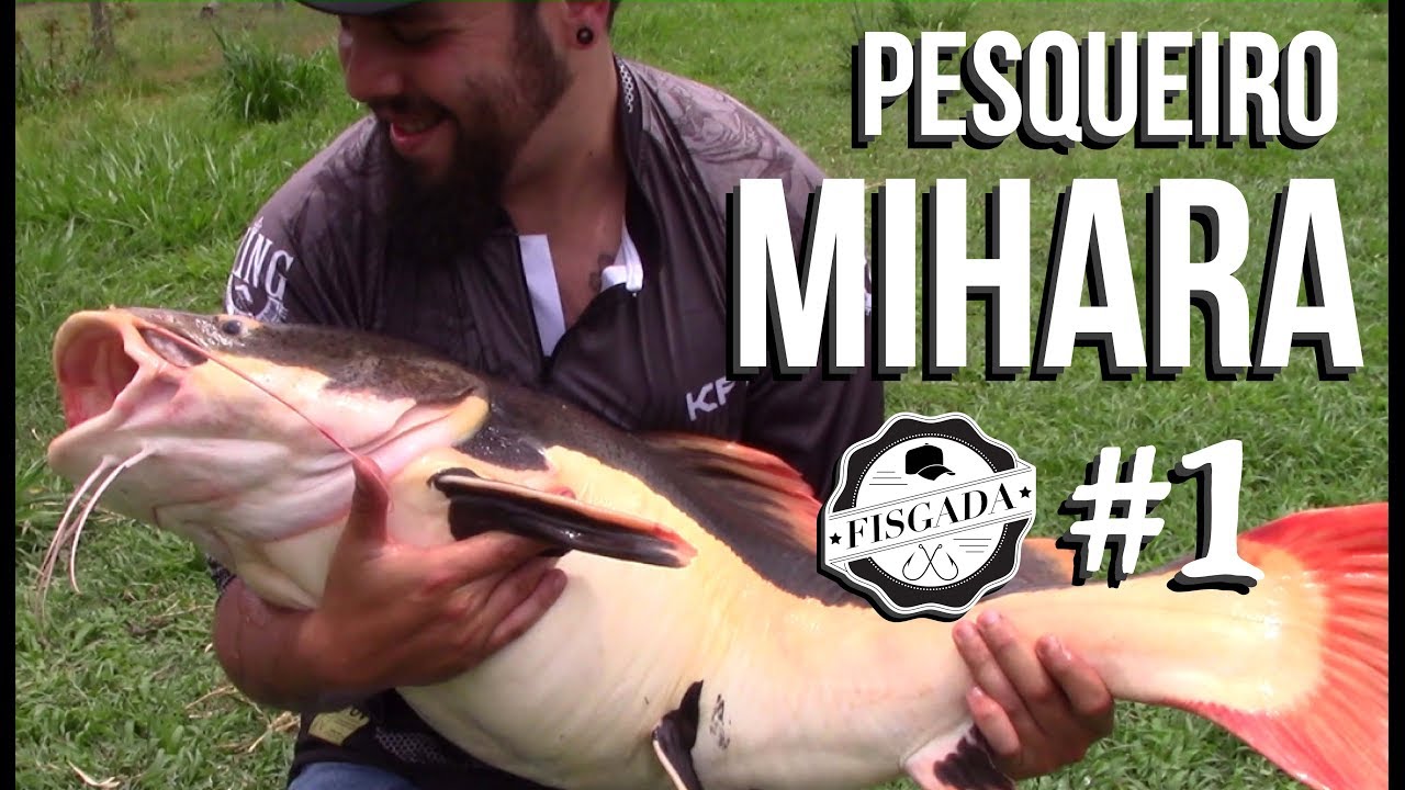 PESCARIA DE PIRARARAS NO MIHARA