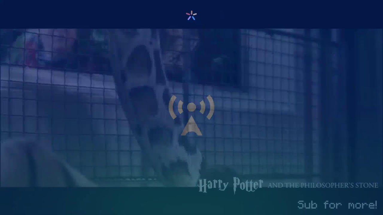 JBJplays Marathon Day 6