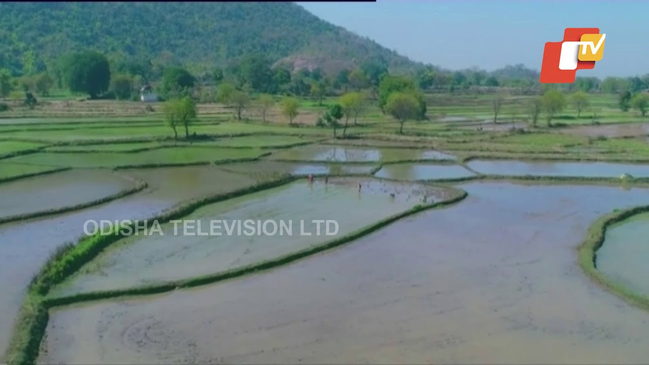 Special Video On Naveen Patnaik & Odisha Transformation