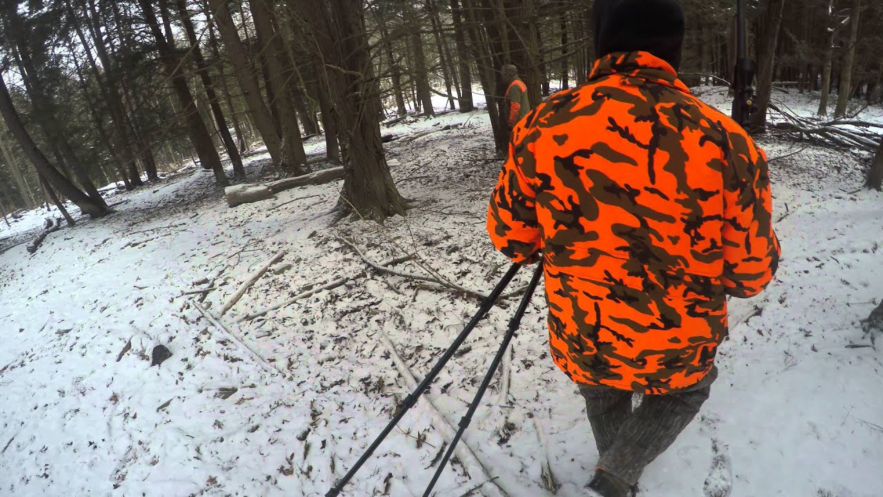 Trophy boar hunt 2016