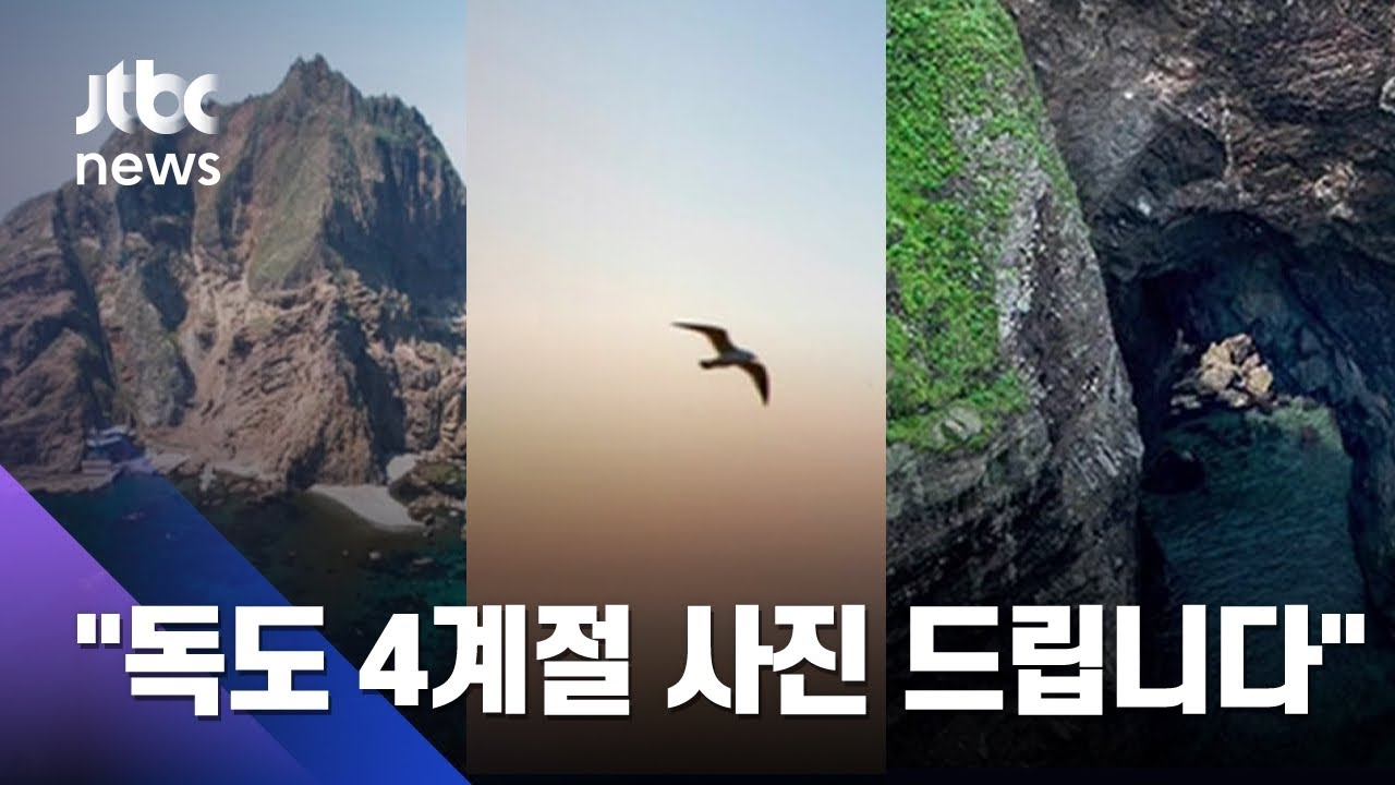 '독도 4계절' 풍경 사진 112장, 일반인에 무료 제공 / JTBC 뉴스ON