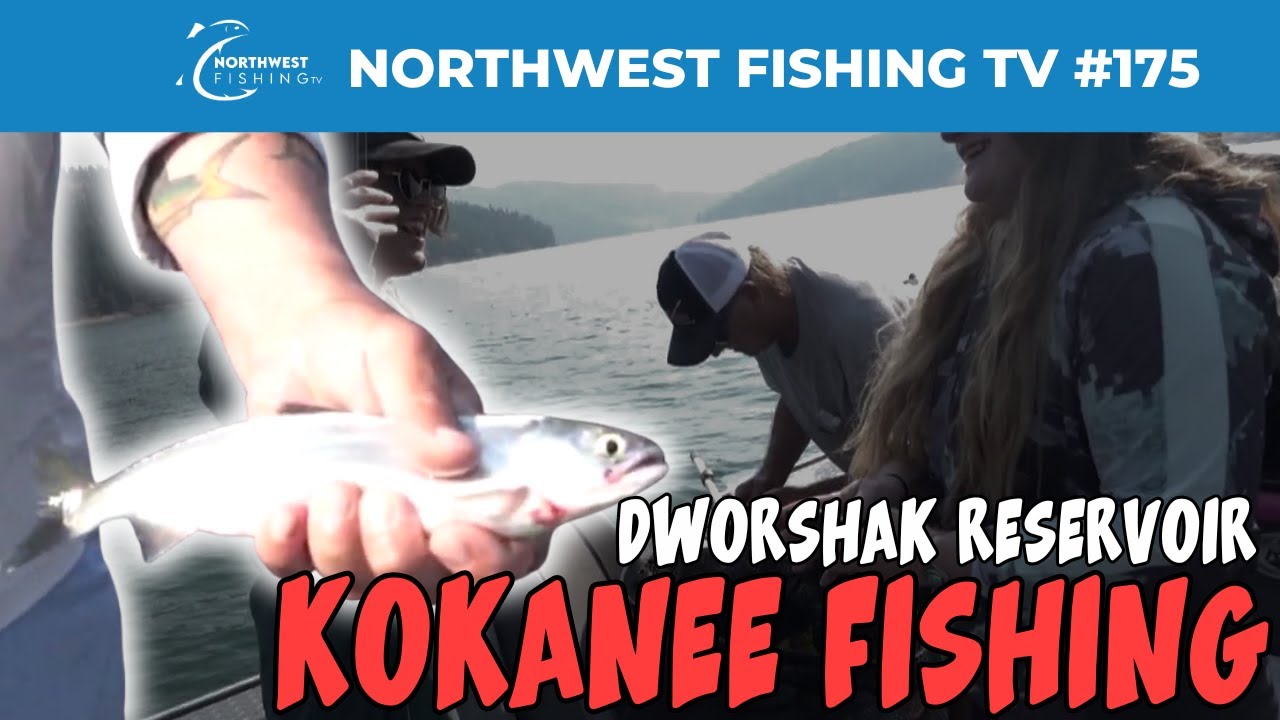 Водохранилище Дворшак, Кокани | Northwest Fishing TV #175