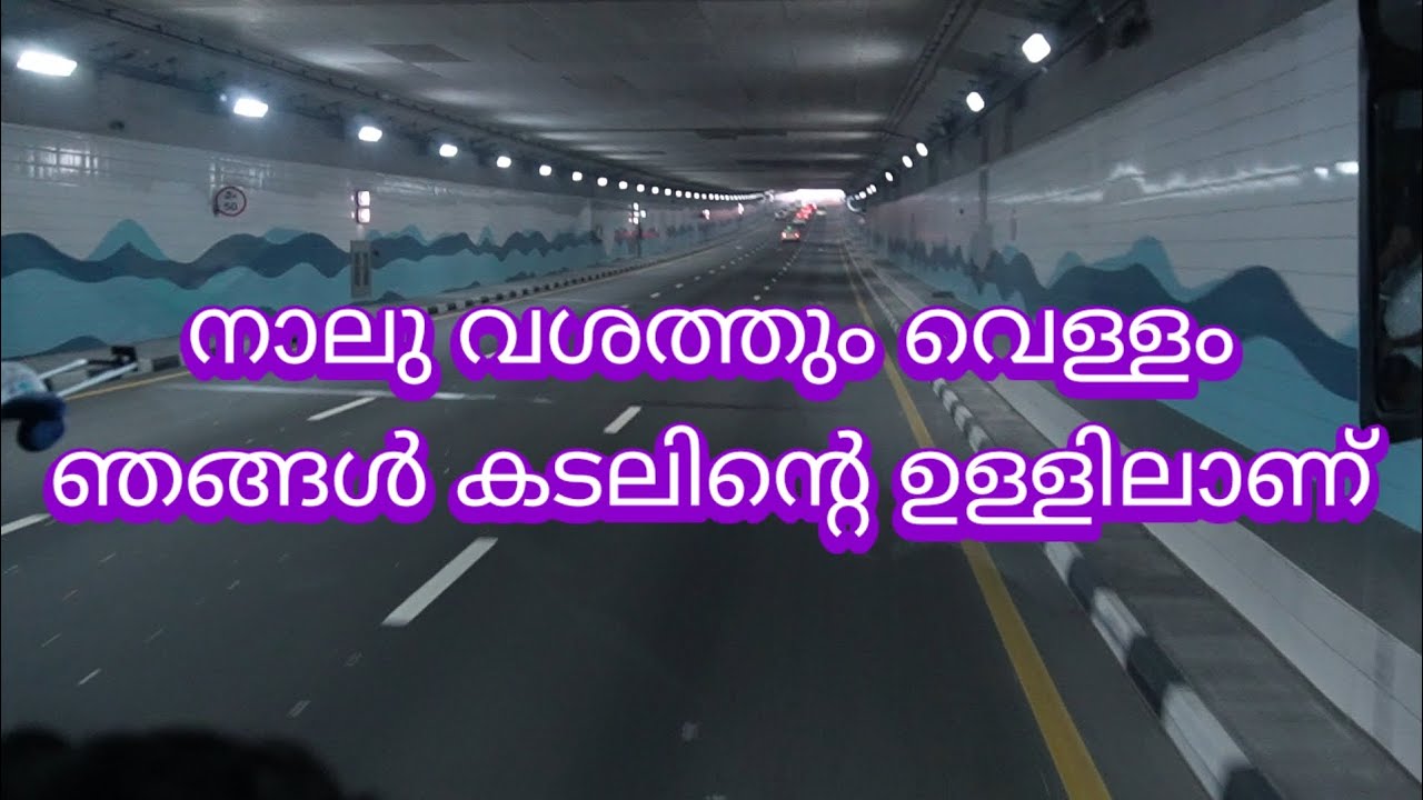Palm Jumairah പണം കായ്ക്കുന്ന ഈന്തപ്പന 