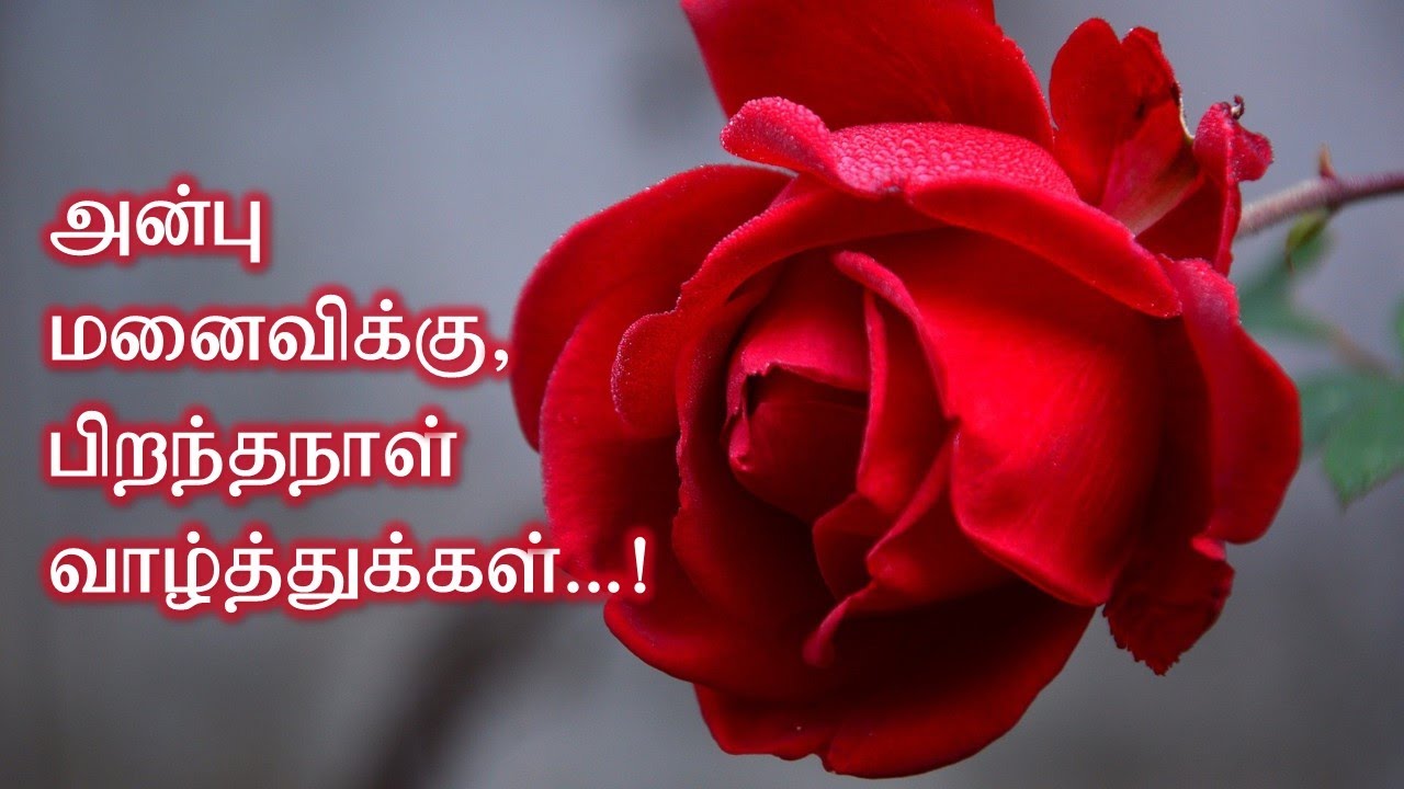 Happy Birthday Wishes to Wife in Tamil | மனைவிக்கு பிறந்தநாள் வாழ்த்துக்கள் | Wishes in Tamil