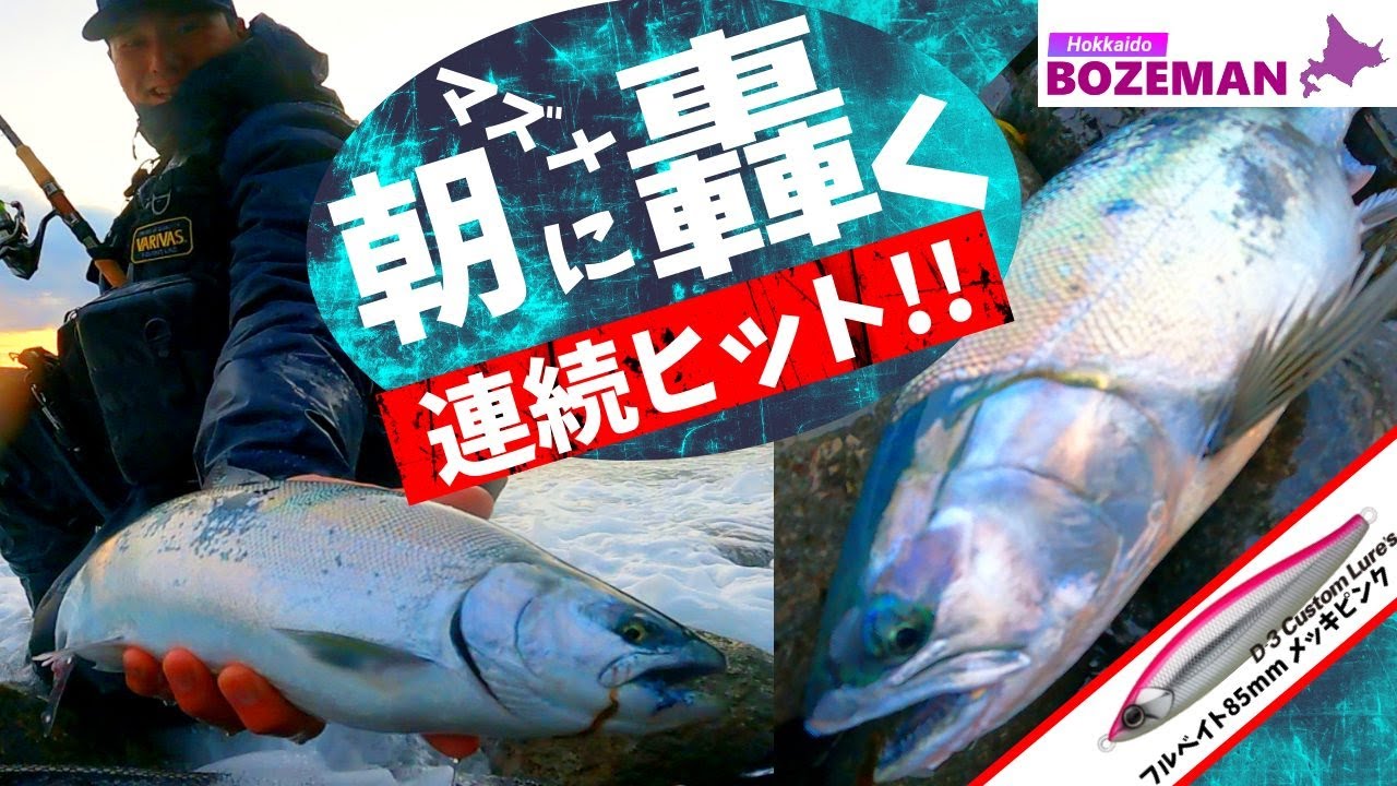 今季大苦戦の先に連続ヒット！朝マズメを彩る銀鱗の海サクラマス 時合が過ぎ去った後にはランカー級のあるゲストが…【北海道釣り】【海サクラマス釣り】