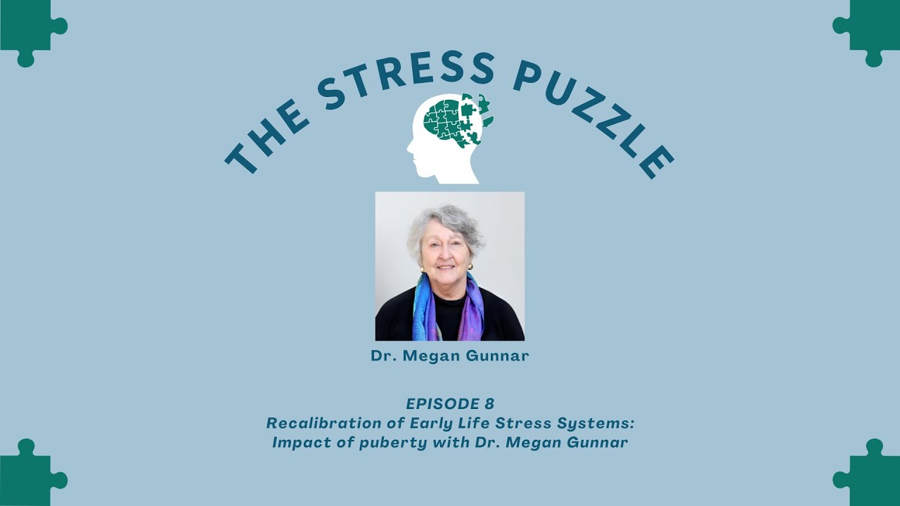 Stress Puzzle Episode 8 - Recalibration of Early Life Stress Systems with Dr. Megan Gunnar