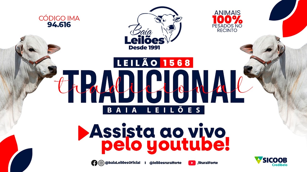 1.569° LEILÃO VIRTUAL DA BAIA LEILÕES, CAMPO BELO - MG, DIA 05/03/26
