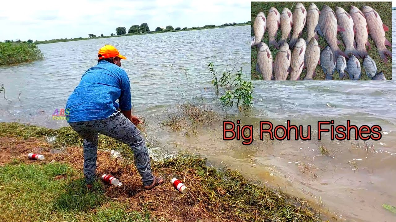 रोहू मछली को कैसे पकड़े | 6 Hook Fishing Technique | Fish Catching Videos Hindi | Fishing Vlogger