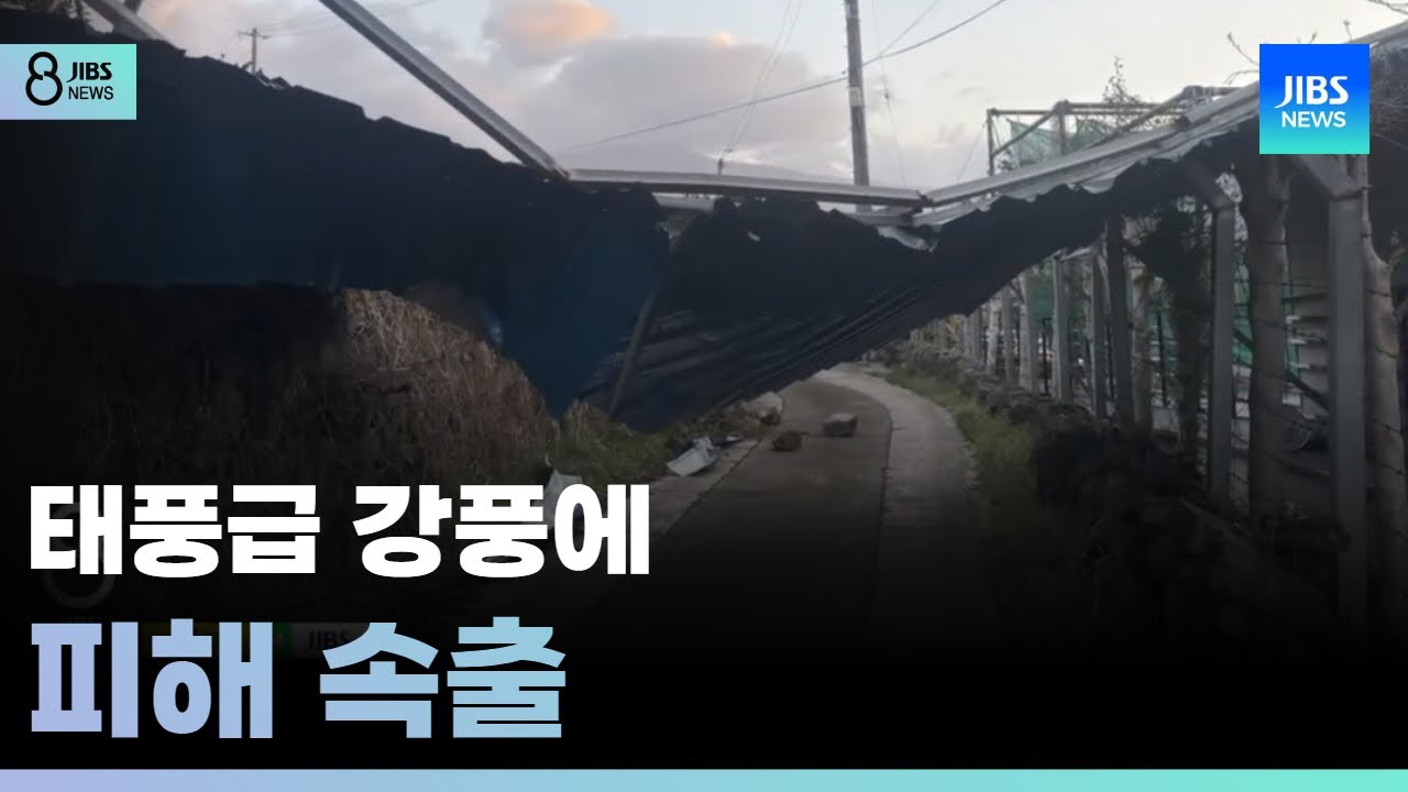 태풍급 강풍에 피해 속출 / JIBS / 제주 / 2025.04.13