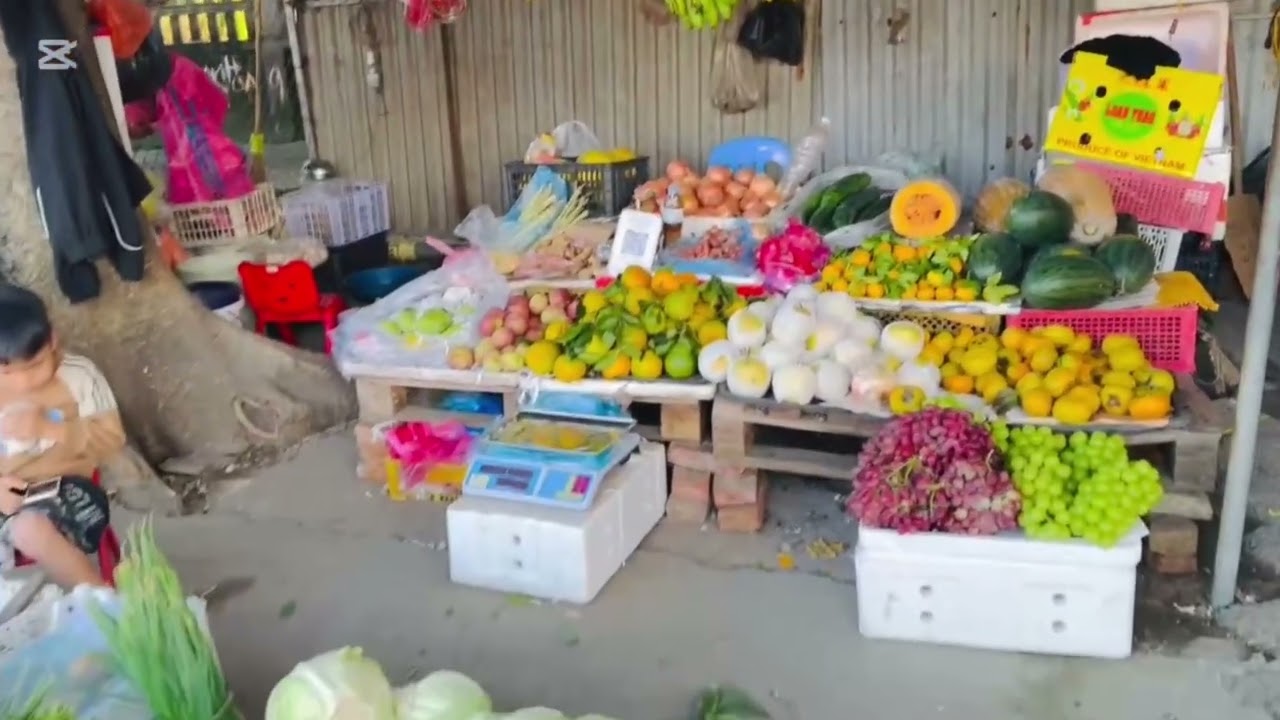 Bữa Nay Linh Check In Nhà Ba Mẹ Linh Và Quê Hương Nơi Linh Sinh Ra Và Lớn Lên ❤️