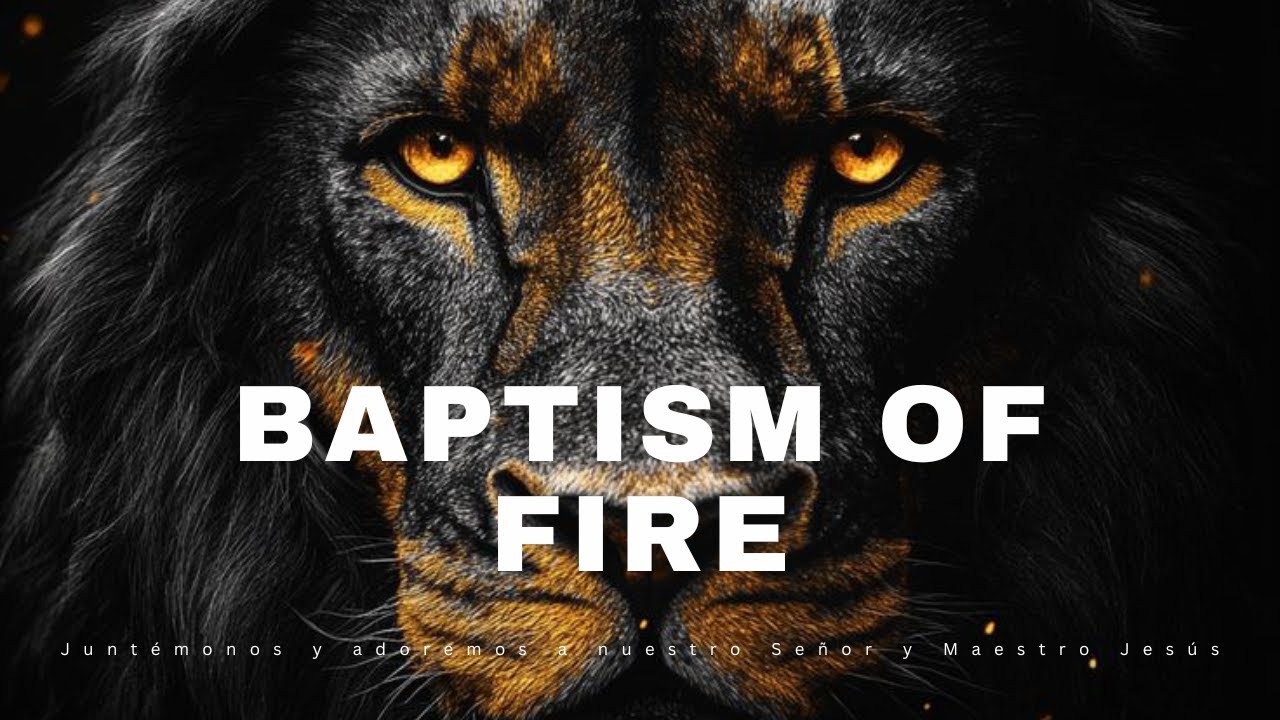 Prophetic Warfare Instrumental Worship/THE BATTLE IS WON/Background Prayer Music