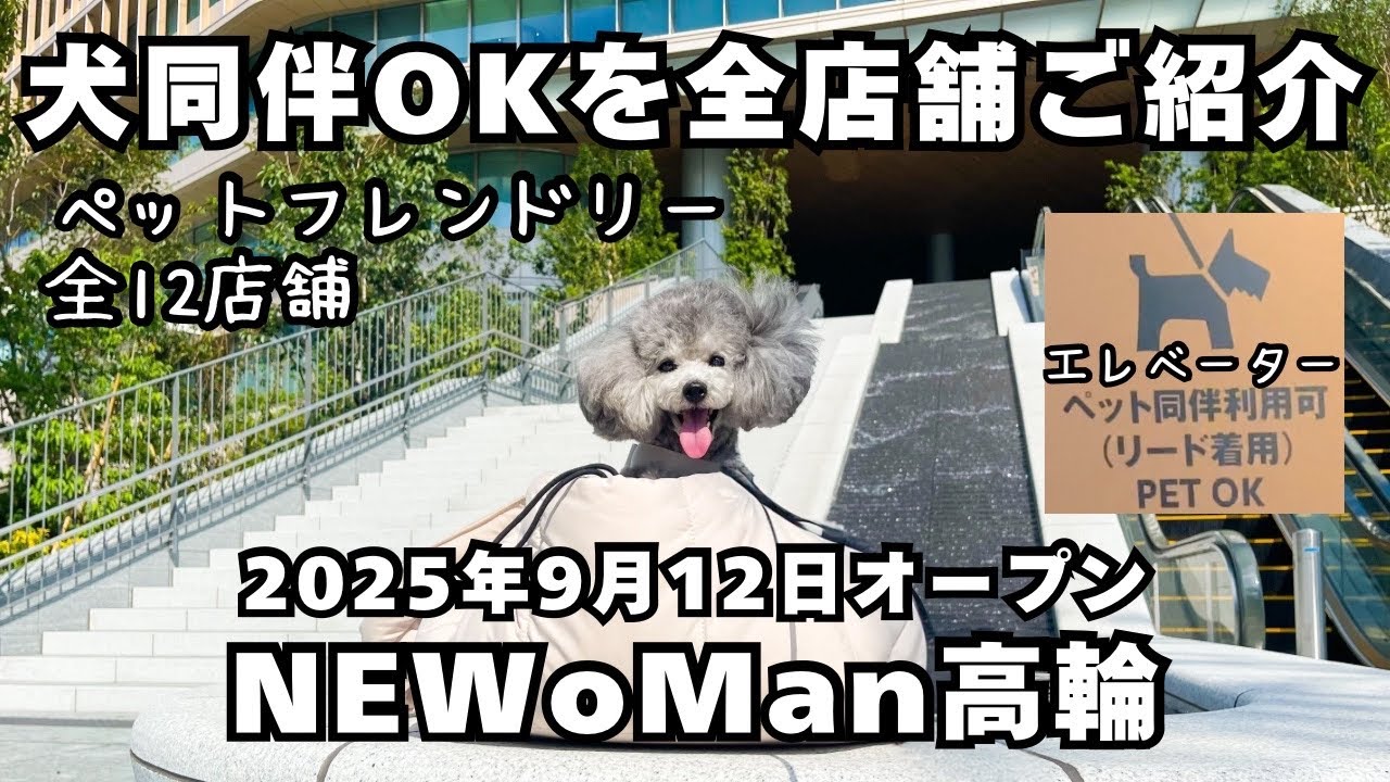 【犬OKを全店舗紹介】2025/9/12高輪ゲートウェイにニューマン高輪オープン🐶