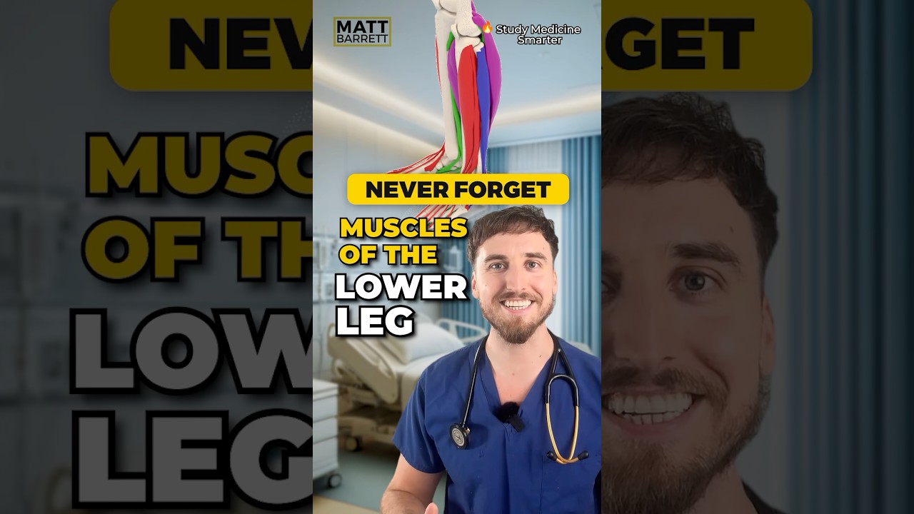 Easily remember lower leg muscles with this memory trick