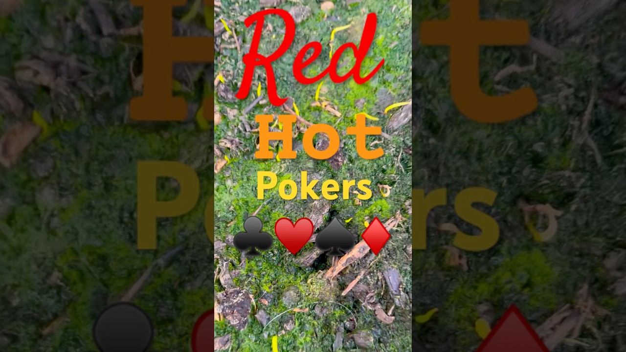 #kniphofia #redhotpoker #seedlings #vlog #garden #nature #happyplace