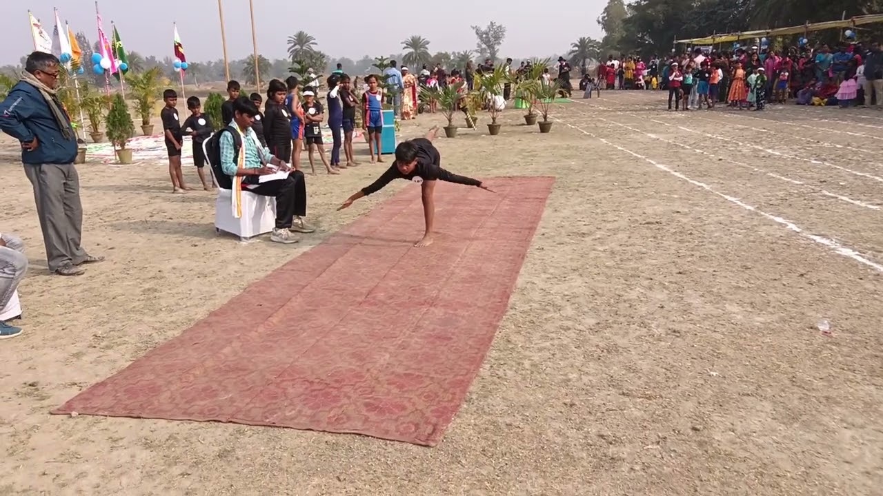 জিমন্যাস্টিক 