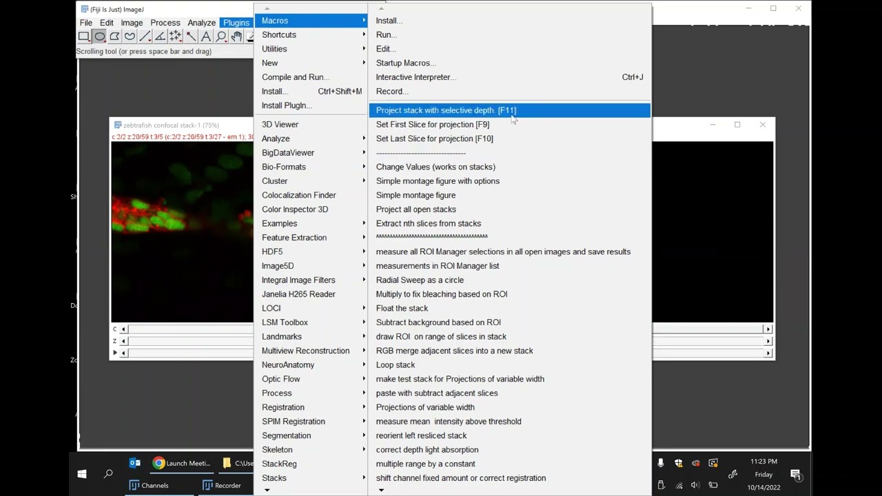 Selective Z projection ImageJ macros instructions