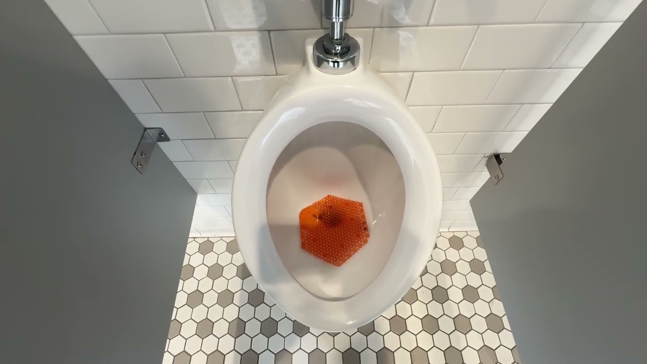 🚽 Bathroom Tour: Toto Urinals and Toilets at Fort Monroe Visitor & Education Center