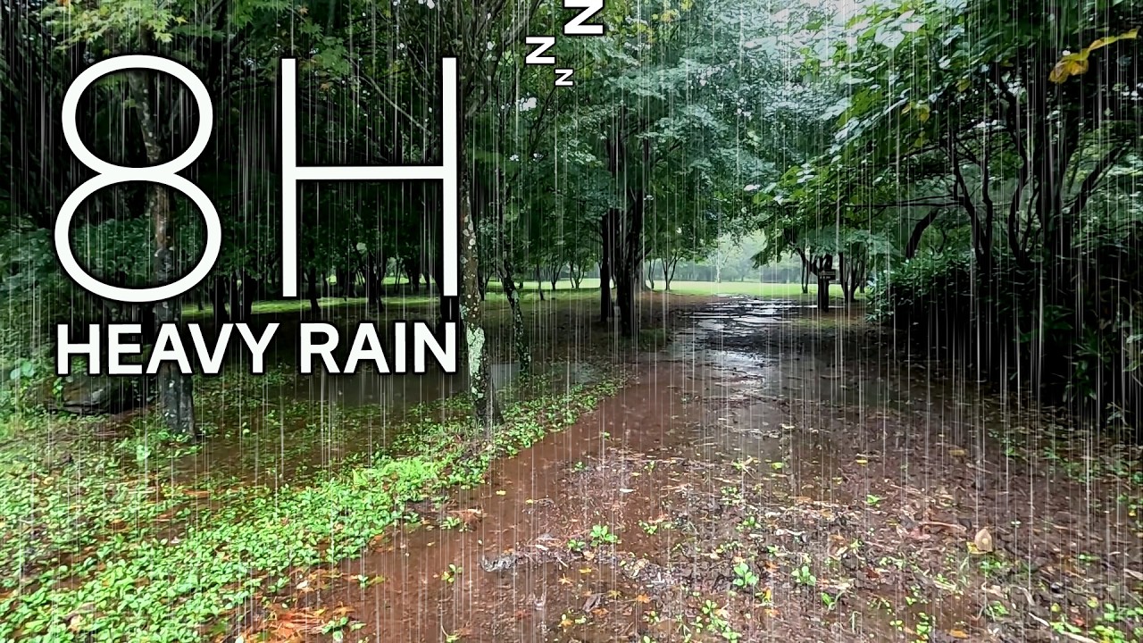 8 Hours Heavy Rain in the Woods: Deep Sleep Brown Noise (No Music | Black Screen at 60 Mins)