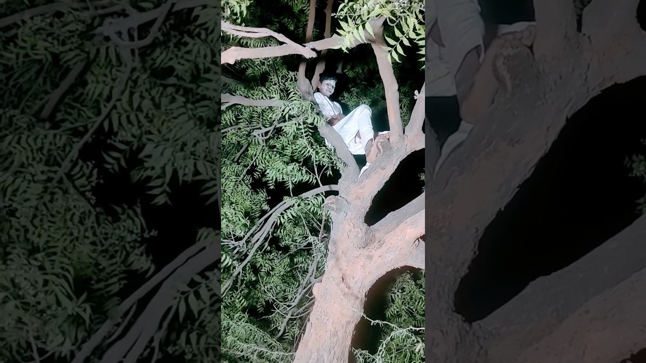 bhutiya ped भारत का खौफनाक पेड #horrorstories #bhootvalavideo#machistory