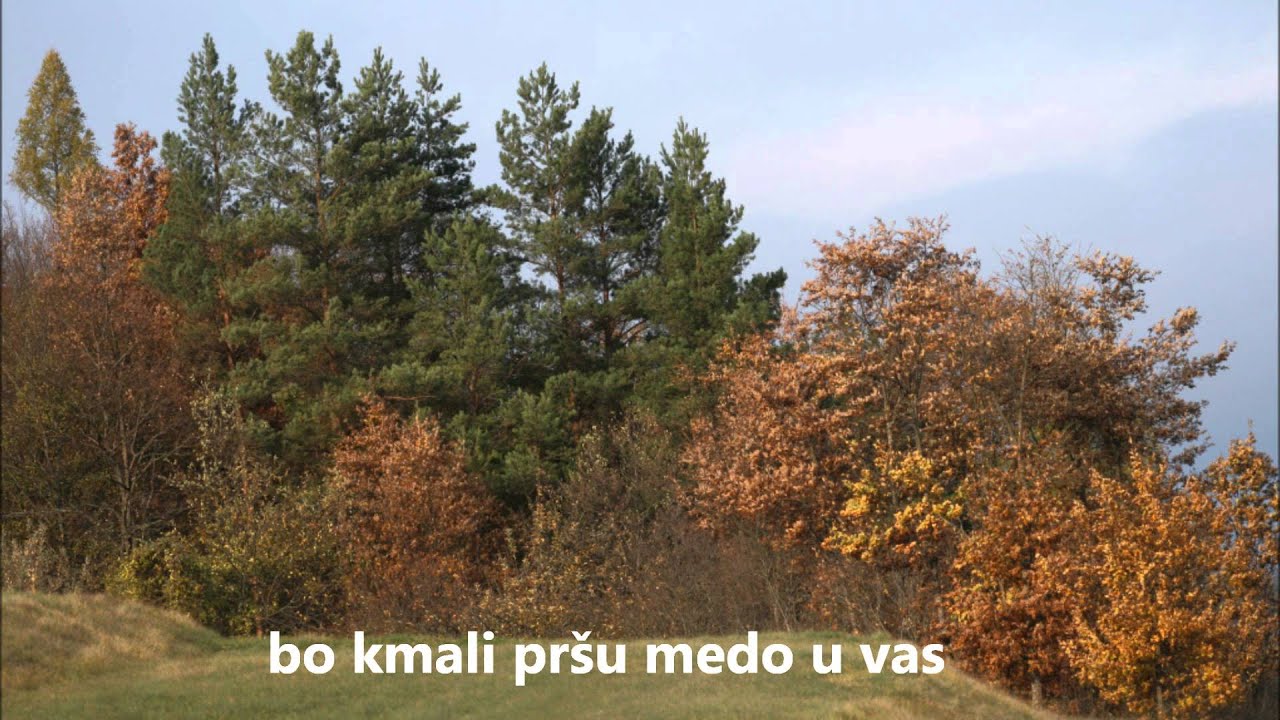 Brkinski Trio - Prelepi Brkini