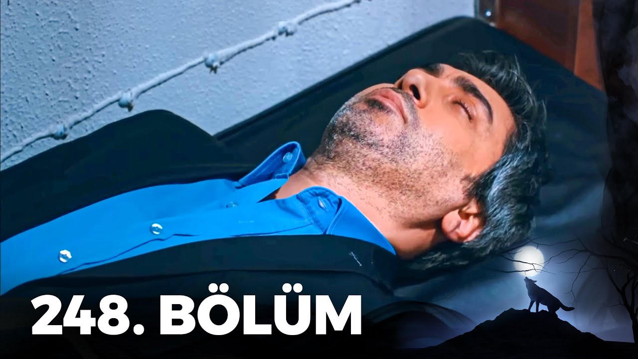 Kurtlar Vadisi Pusu - 248. B&ouml;l&uuml;m FULL HD