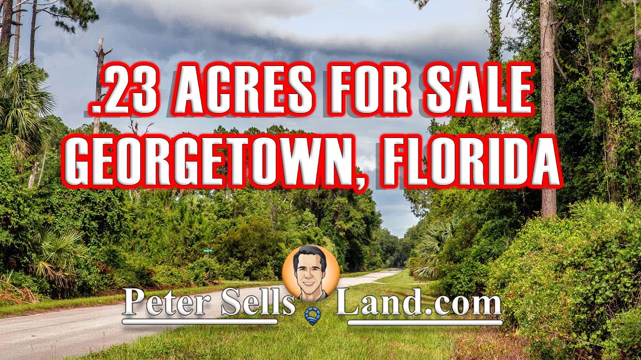 .23 Acres Vacant Land in Georgetown, FL (Putnam County)