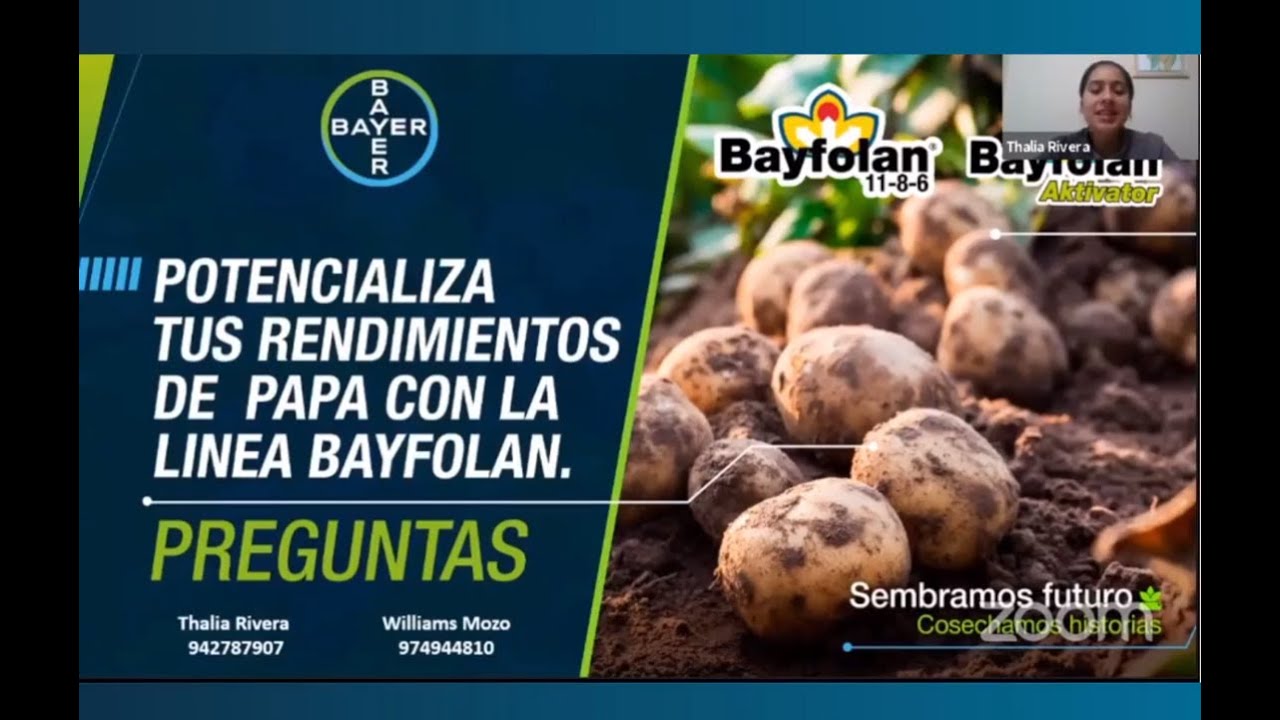 Potencializa tus rendimientos de  papa con la linea bayfolan 2020 | Agro Bayer Perú