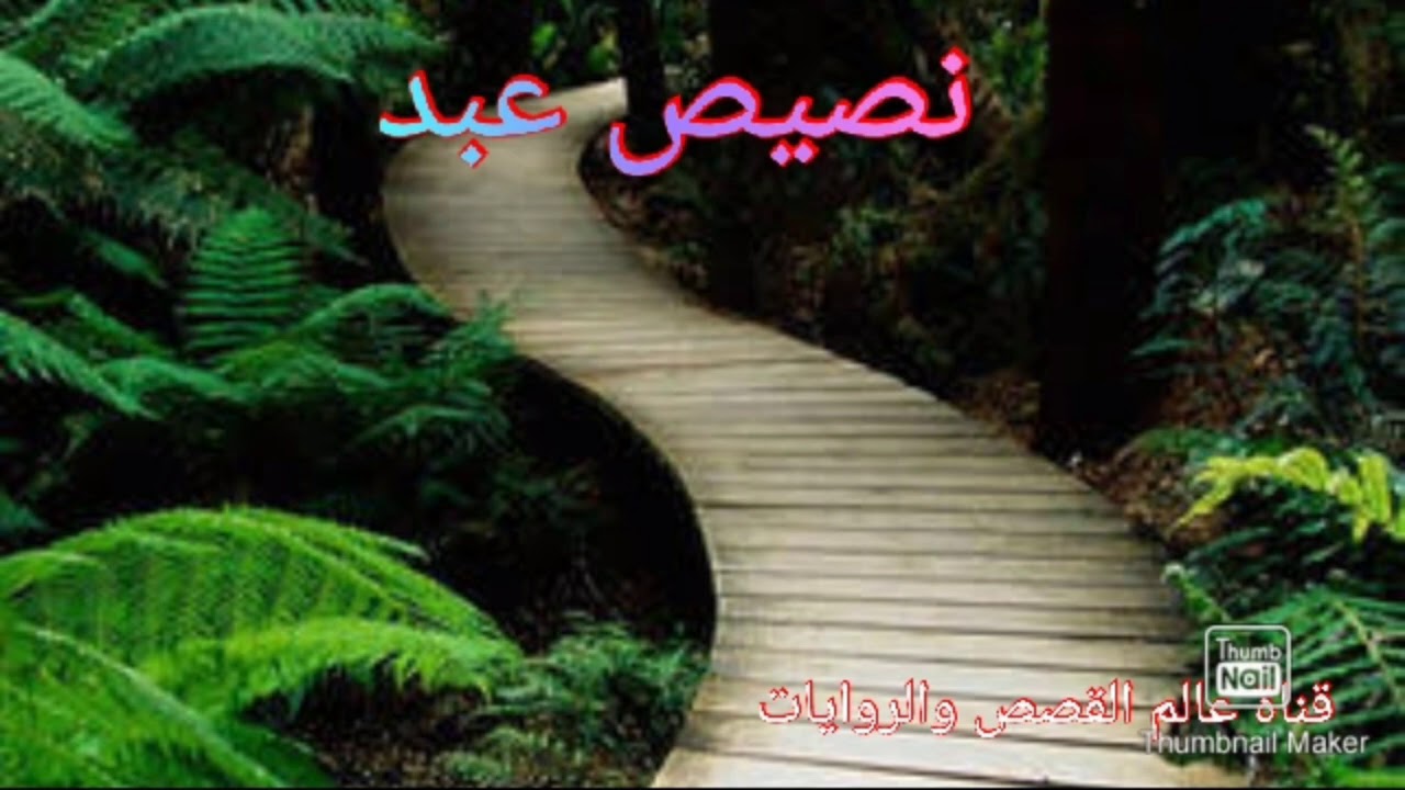 حكاية نصيص عبد من التراث الجزائري باللهجة الجزائرية حصريا على قناتي