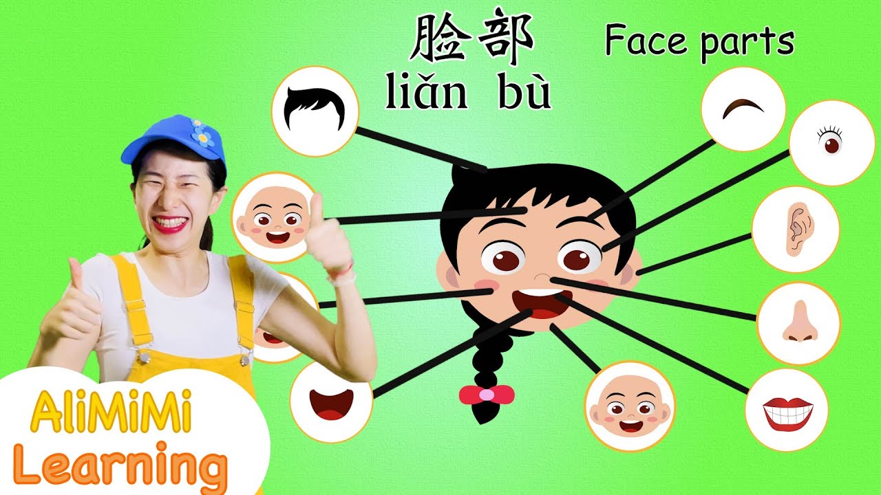 学中文 脸部 ⎮Learn about Face - Body Part in Mandarin Chinese  ⎮学习脸部 ⎮面