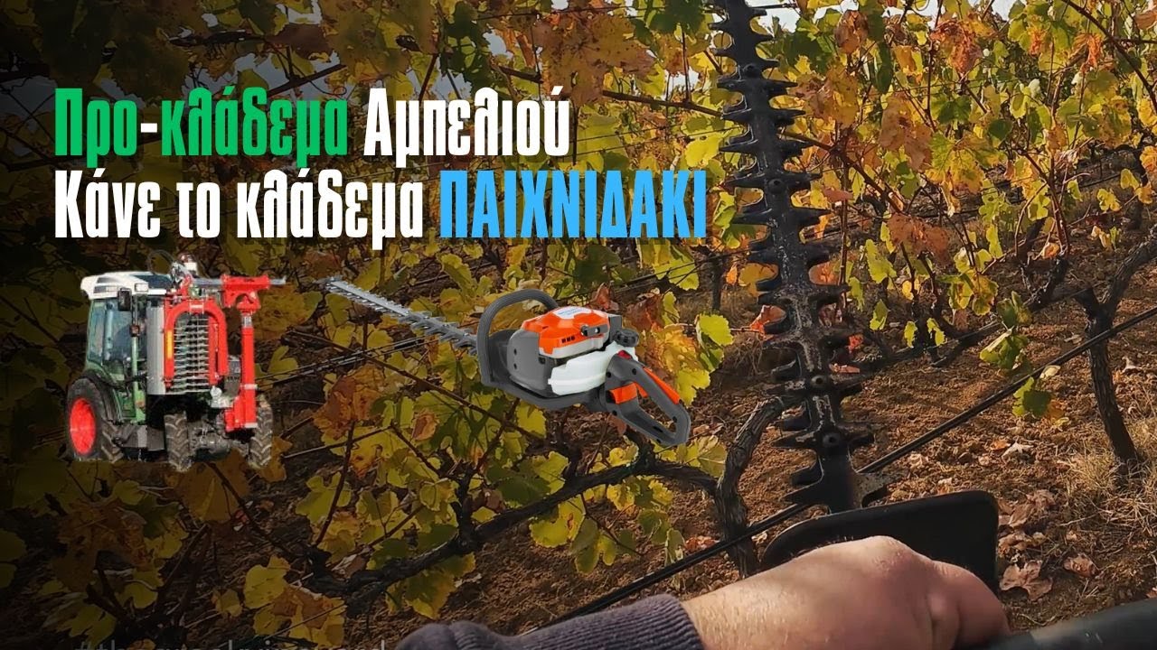 Προκλάδεμα Αμπελιού - Κάνε Το ΧΕΙΜΕΡΙΝΟ Κλάδεμα ΠΑΙΧΝΙΔΑΚΙ!