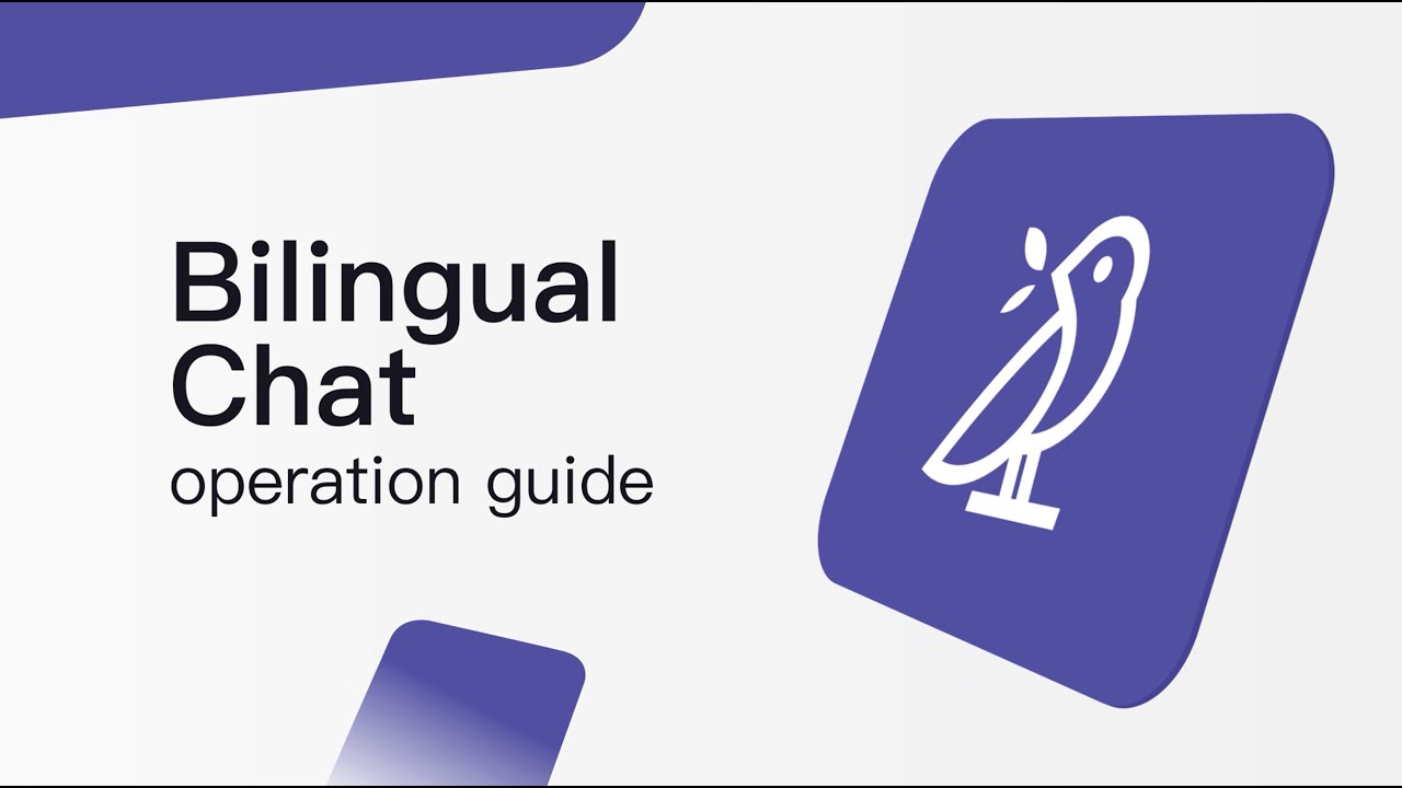 aidio AI | Litok Tutorial - Bilingual Chat